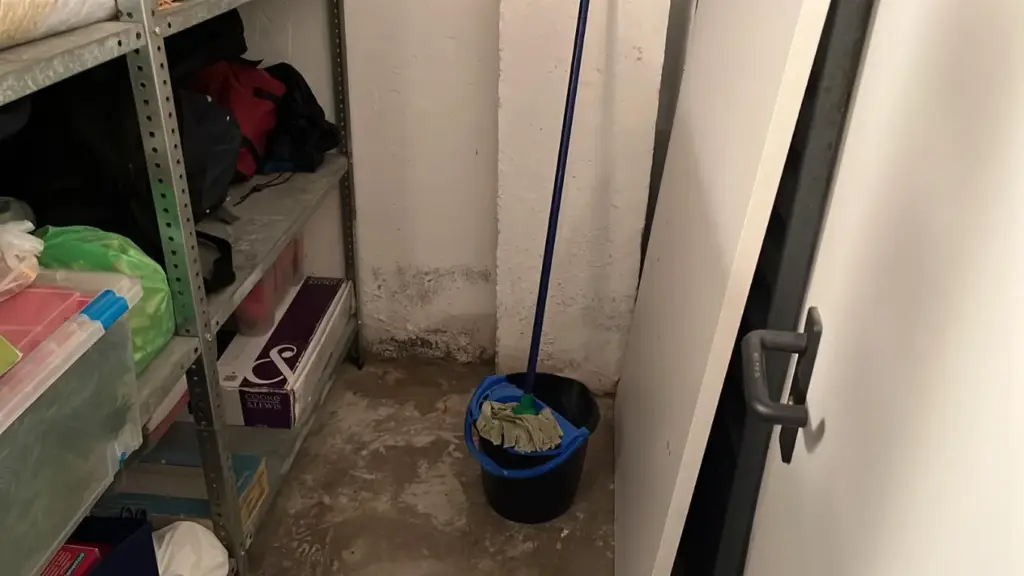 humedades en trasteros